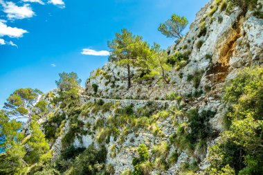 İspanya 'nın Mallorca adasındaki Alcdia Körfezi' nin muhteşem manzaralı Talaia d 'Alcdia Dağı' na yürüyüş.