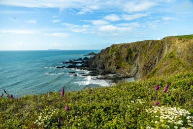 Hartland Point 'e güzel deniz feneri ve çarpıcı deniz manzarasıyla güzel bir yürüyüş.