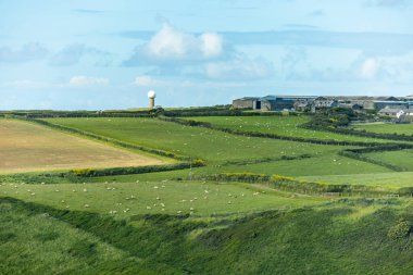 Hartland Point 'e güzel deniz feneri ve çarpıcı deniz manzarasıyla güzel bir yürüyüş.