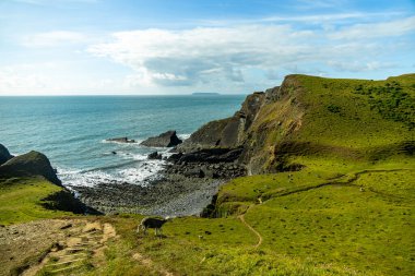 Hartland Point 'e güzel deniz feneri ve çarpıcı deniz manzarasıyla güzel bir yürüyüş.