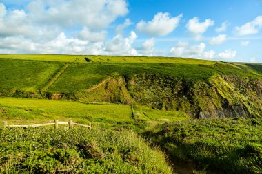 Hartland Point 'e güzel deniz feneri ve çarpıcı deniz manzarasıyla güzel bir yürüyüş.