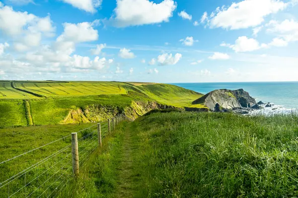 Hartland Point 'e güzel deniz feneri ve çarpıcı deniz manzarasıyla güzel bir yürüyüş.