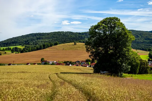 Wasungen, Walldorf üzerinden Rhn-Thüringen 'deki Hohe Geba' ya doğru güzel bir bisiklet turu.