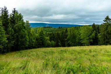 Knllfeld kayak alanından Hallenburg Şatosu 'na doğru Thuringian Ormanı' nın kıyısında kısa bir yürüyüş - Steinbach-Hallenberg - Thuringia - Almanya