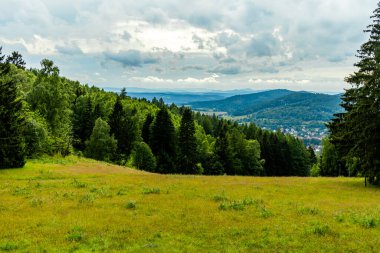 Knllfeld kayak alanından Hallenburg Şatosu 'na doğru Thuringian Ormanı' nın kıyısında kısa bir yürüyüş - Steinbach-Hallenberg - Thuringia - Almanya