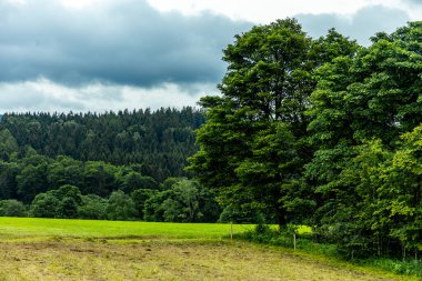 Knllfeld kayak alanından Hallenburg Şatosu 'na doğru Thuringian Ormanı' nın kıyısında kısa bir yürüyüş - Steinbach-Hallenberg - Thuringia - Almanya