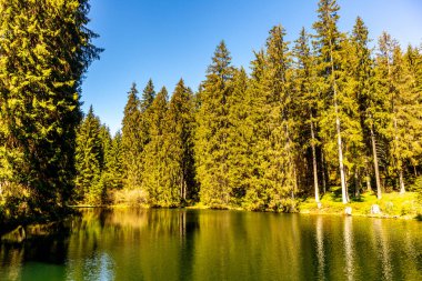 Fehrenbach yakınlarındaki Werra 'nın kaynağından Wernshausen-Thuringia yakınlarındaki Werratal' a kadar 1. Werratal Bisiklet Yolu 'nda bisikletle seyahat etmek.