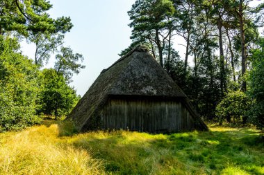 Behringer Heide - Bispingen - Aşağı Saksonya - Almanya 'nın eşsiz ve renkli manzarasında harika bir yürüyüş.