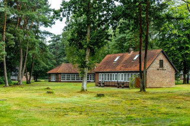 Österheide - Bispingen - Aşağı Saksonya - Almanya 'nın eşsiz ve renkli manzarasında harika bir yürüyüş.