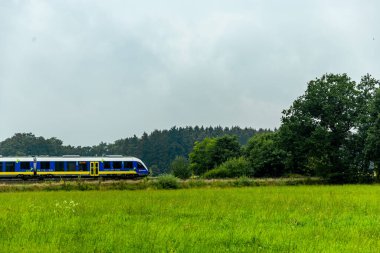 Österheide - Bispingen - Aşağı Saksonya - Almanya 'nın eşsiz ve renkli manzarasında harika bir yürüyüş.