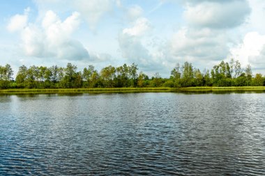 Österheide - Bispingen - Aşağı Saksonya - Almanya 'nın eşsiz ve renkli manzarasında harika bir yürüyüş.
