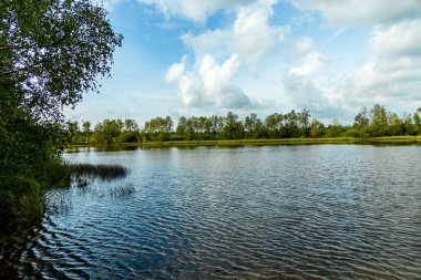Österheide - Bispingen - Aşağı Saksonya - Almanya 'nın eşsiz ve renkli manzarasında harika bir yürüyüş.