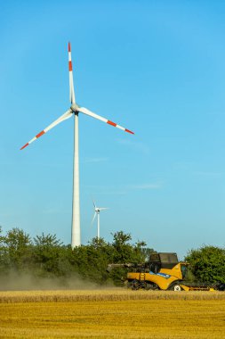 Apolda - Thüringen - Almanya yakınlarındaki Weimarer Toprakları 'nda yaz sonu tahıl hasat mevsiminin başlangıcı