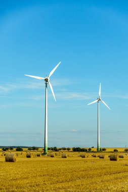 Apolda - Thüringen - Almanya yakınlarındaki Weimarer Toprakları 'nda yaz sonu tahıl hasat mevsiminin başlangıcı