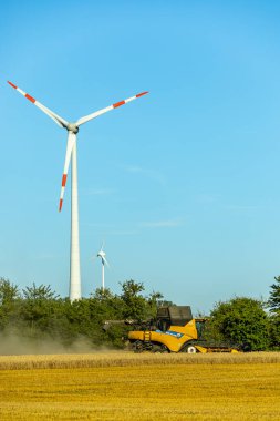 Apolda - Thüringen - Almanya yakınlarındaki Weimarer Toprakları 'nda yaz sonu tahıl hasat mevsiminin başlangıcı