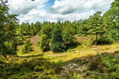 Borsteler Schweiz - Bispingen - Aşağı Saksonya - Almanya 'nın eşsiz ve renkli manzarasında harika bir yürüyüş.