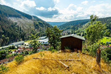 Güzel Thüringen Ormanı 'nda, Almanya' da Luisenthal çevresinde kısa yaz yürüyüşü