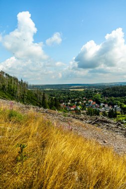 Güzel Thüringen Ormanı 'nda, Almanya' da Luisenthal çevresinde kısa yaz yürüyüşü
