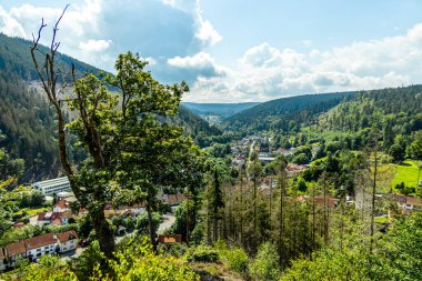 Güzel Thüringen Ormanı 'nda, Almanya' da Luisenthal çevresinde kısa yaz yürüyüşü