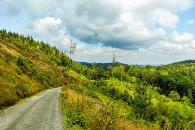 Güzel Thüringen Ormanı 'nda, Almanya' da Luisenthal çevresinde kısa yaz yürüyüşü