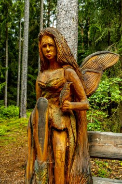 Güzel Thüringen Ormanı 'nda, Almanya' da Luisenthal çevresinde kısa yaz yürüyüşü