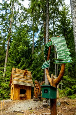 Güzel Thüringen Ormanı 'nda, Almanya' da Luisenthal çevresinde kısa yaz yürüyüşü