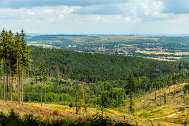 Güzel Thüringen Ormanı 'nda, Almanya' da Luisenthal çevresinde kısa yaz yürüyüşü