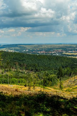 Güzel Thüringen Ormanı 'nda, Almanya' da Luisenthal çevresinde kısa yaz yürüyüşü