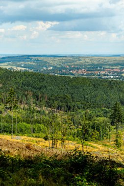 Güzel Thüringen Ormanı 'nda, Almanya' da Luisenthal çevresinde kısa yaz yürüyüşü