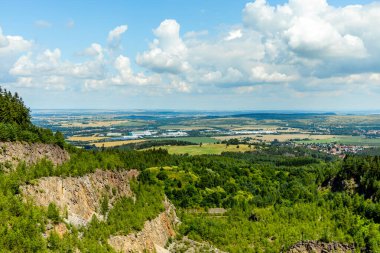 Güzel Thüringen Ormanı 'nda, Almanya' da Luisenthal çevresinde kısa yaz yürüyüşü