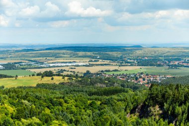 Güzel Thüringen Ormanı 'nda, Almanya' da Luisenthal çevresinde kısa yaz yürüyüşü