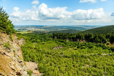 Güzel Thüringen Ormanı 'nda, Almanya' da Luisenthal çevresinde kısa yaz yürüyüşü