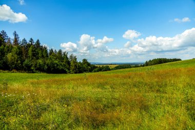 Güzel Thüringen Ormanı 'nda, Almanya' da Luisenthal çevresinde kısa yaz yürüyüşü