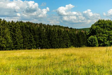 Güzel Thüringen Ormanı 'nda, Almanya' da Luisenthal çevresinde kısa yaz yürüyüşü