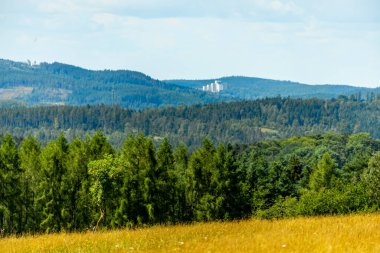 Güzel Thüringen Ormanı 'nda, Almanya' da Luisenthal çevresinde kısa yaz yürüyüşü