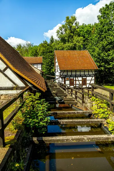 stock image Short summer hike around Luisenthal in the beautiful Thuringian Forest - Thuringia - Germany