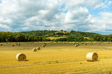 Travelling by bike on part of the Werratal Cycle Route stage from Hrschel near Eisenach to Eschwege - Thuringia - Germany clipart