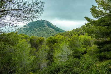 Talaia de Son Jaumell Dağı 'na yürüyün ve Cala Rajada şehrinin hemen dışındaki manzaraya bakın.