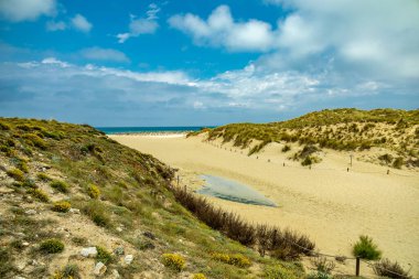 Talaia de Son Jaumell Dağı 'na yürüyün ve Cala Rajada şehrinin hemen dışındaki manzaraya bakın.