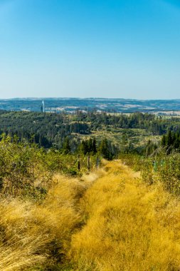 Lehesten am Rennsteig - Thüringen - Almanya yakınlarındaki güzel Thuringian Kayrak Parkı 'nda yaz sonu yürüyüşü