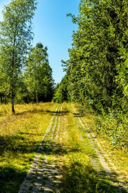 Lehesten am Rennsteig - Thüringen - Almanya yakınlarındaki güzel Thuringian Kayrak Parkı 'nda yaz sonu yürüyüşü