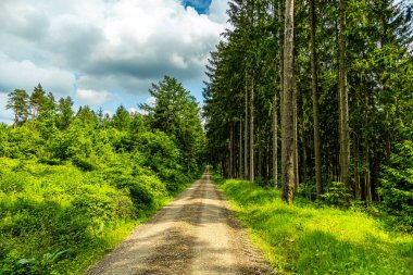 A wonderful spring hike around the Ple Berg and the Frankenberg castle ruins near Breitungen - Thuringia - Germany clipart