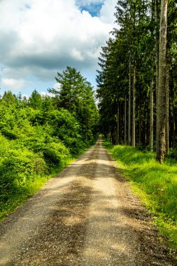 Breitungen - Thüringen yakınlarındaki Frankenberg şatosu ve Ple Berg çevresinde harika bir bahar yürüyüşü Almanya 'da bir harabe.