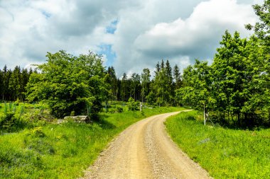 Breitungen - Thüringen yakınlarındaki Frankenberg şatosu ve Ple Berg çevresinde harika bir bahar yürüyüşü Almanya 'da bir harabe.