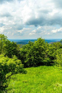 Breitungen - Thüringen yakınlarındaki Frankenberg şatosu ve Ple Berg çevresinde harika bir bahar yürüyüşü Almanya 'da bir harabe.