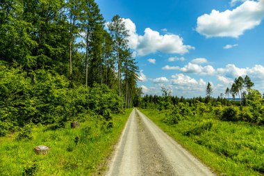Breitungen - Thüringen yakınlarındaki Frankenberg şatosu ve Ple Berg çevresinde harika bir bahar yürüyüşü Almanya 'da bir harabe.