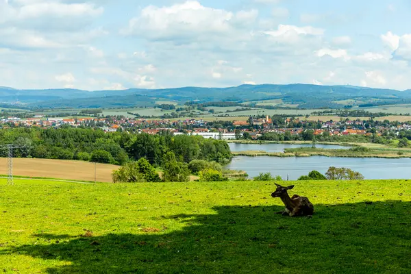 stock image A wonderful spring hike around the Ple Berg and the Frankenberg castle ruins near Breitungen - Thuringia - Germany