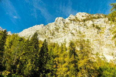 Berchtesgaden Alp Dağları 'nda Berchtesgaden - Berchtesgaden - Almanya