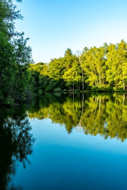 Yukarı Frankonya 'da Coburg yakınlarındaki Neustadt yakınlarındaki güzel balıkçı göletinde kısa bir mola.