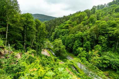 Brotterode-Trusetal 'de ilkbahar yürüyüşü - Trusetal şelalesi - Thüringen - Almanya